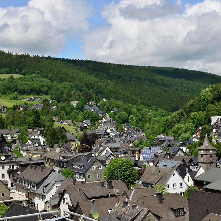 Beautiful Apartment In Willingen With Balcony Exterior photo